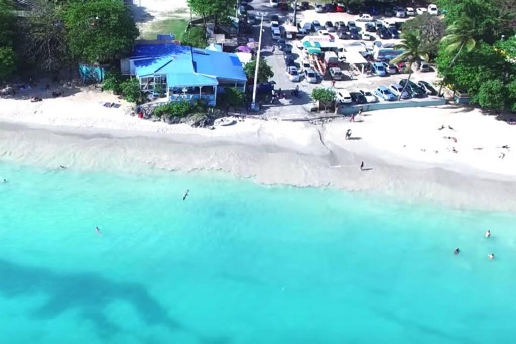 Appartement 500 Metres De La Plage A Gosier Le Gosier  Eksteriør billede